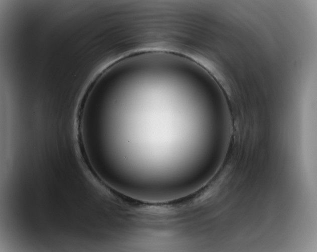 X0000089440998200706151410