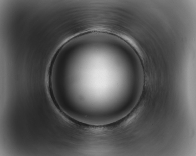 X0000089440999200706151410