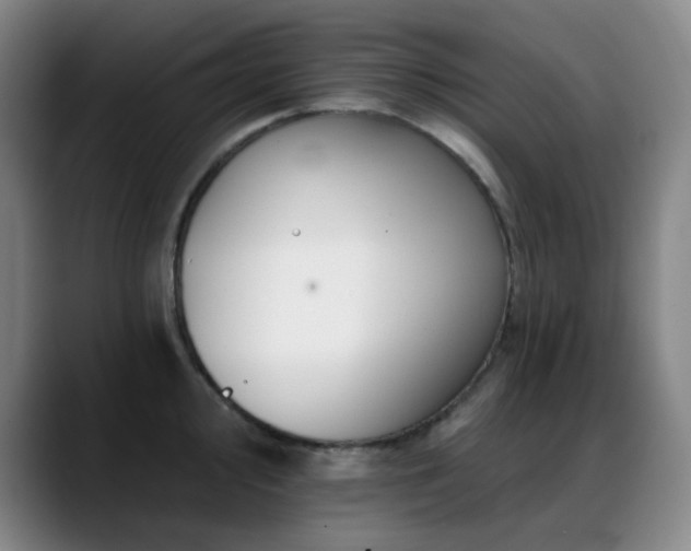 X0000089441000200706151410