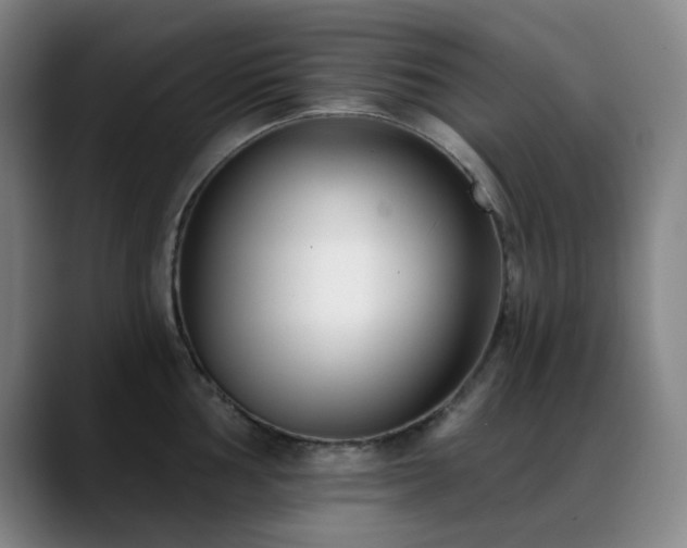 X0000089441002200706151410