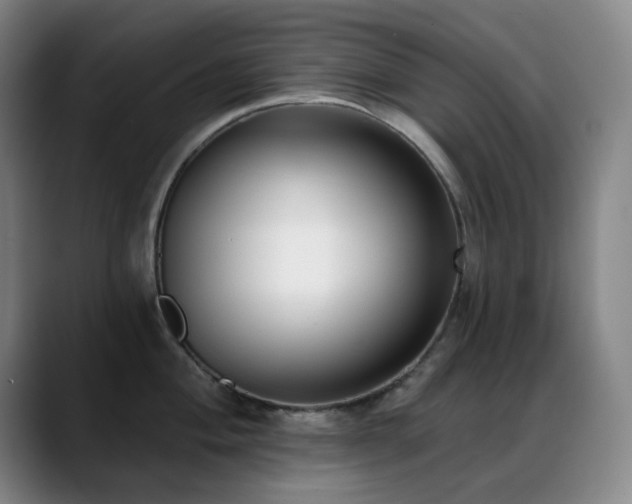 X0000089441004200706151410