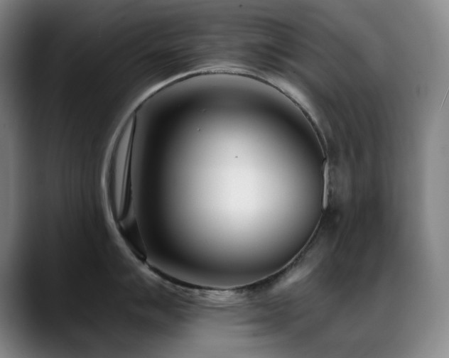 X0000089441007200706151410
