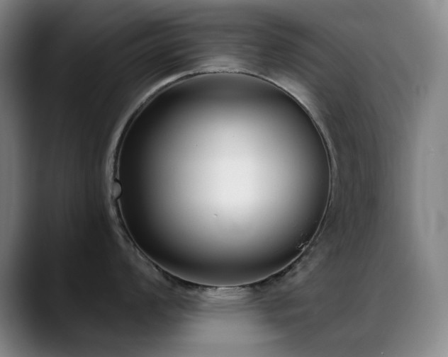 X0000089441008200706151410