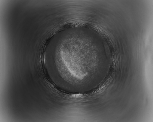 X0000089441010200706151409
