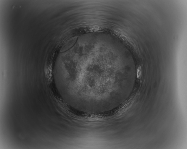 X0000089441011200706151409