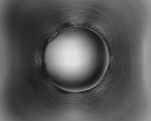 X0000089441012200706151409