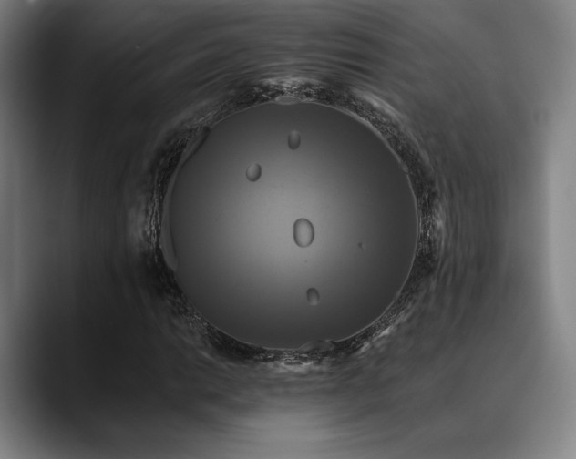 X0000089441014200706151409
