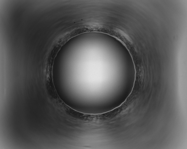 X0000089441016200706151410