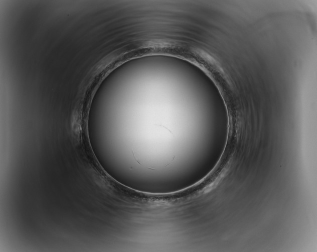 X0000089441017200706151410