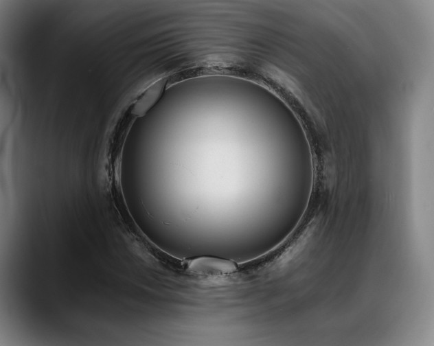X0000089441018200706151410