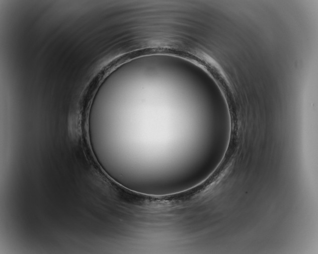 X0000089441019200706151410