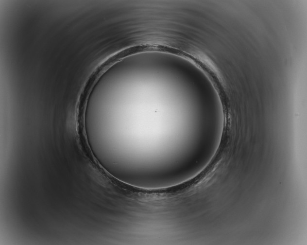X0000089441020200706151410