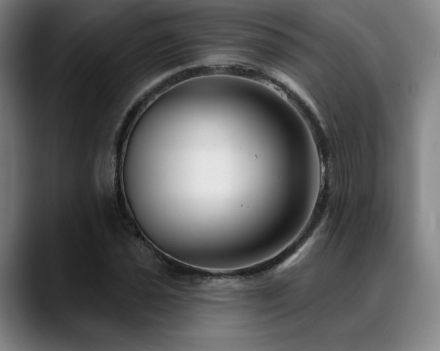 X0000089441021200706151410