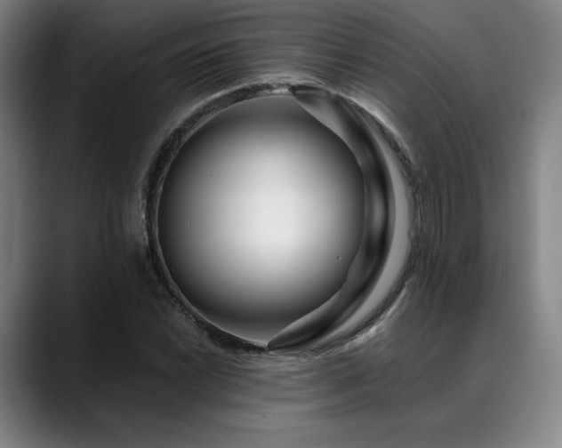 X0000089441022200706151410