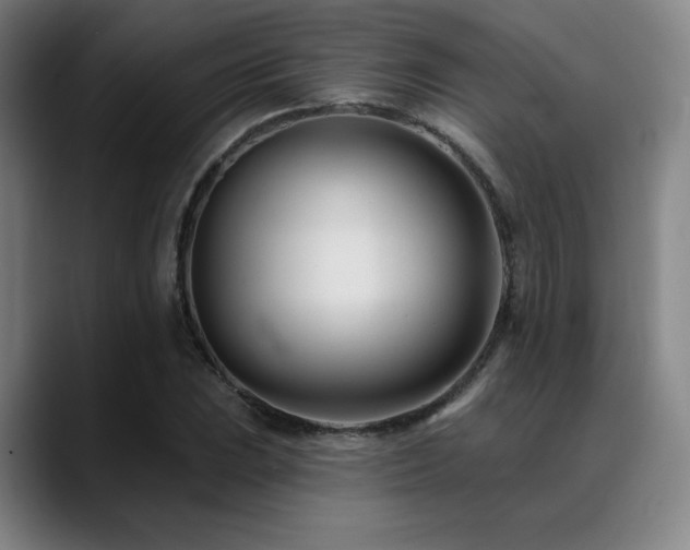 X0000089441023200706151410