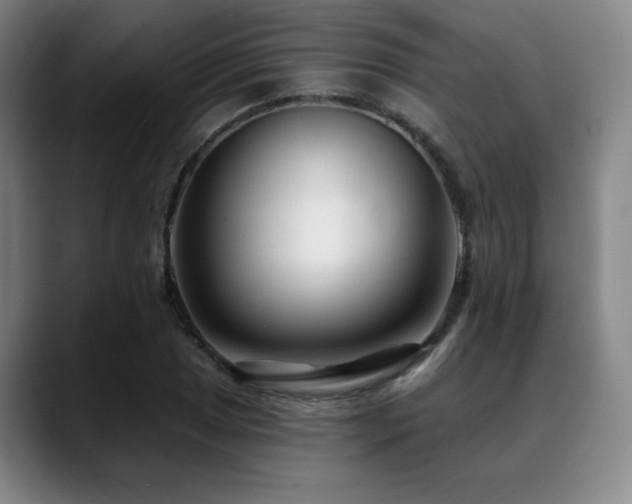 X0000089441025200706151410