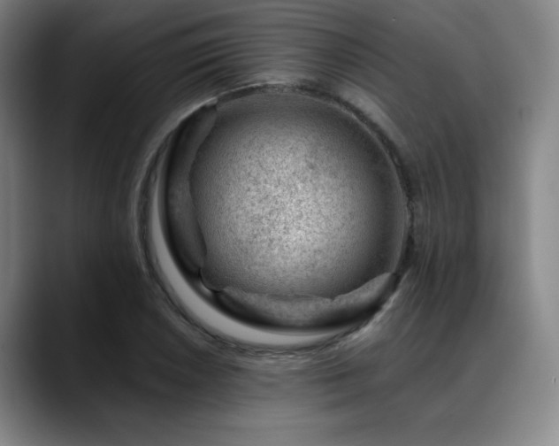 X0000089441026200706151410