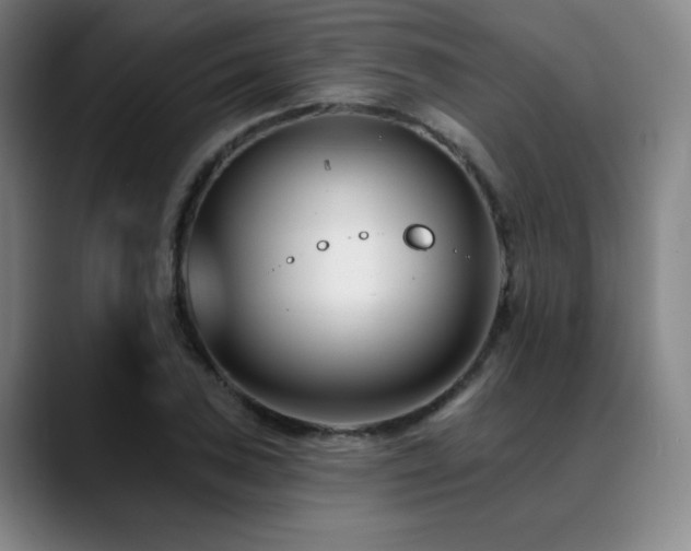X0000089441027200706151410