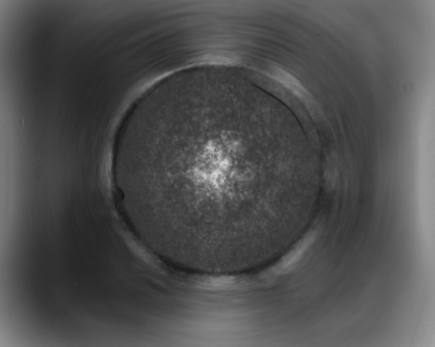 X0000089441030200706151410