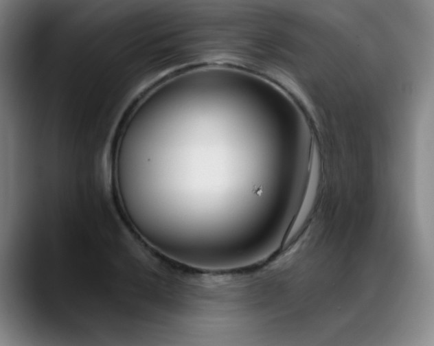 X0000089441032200706151410