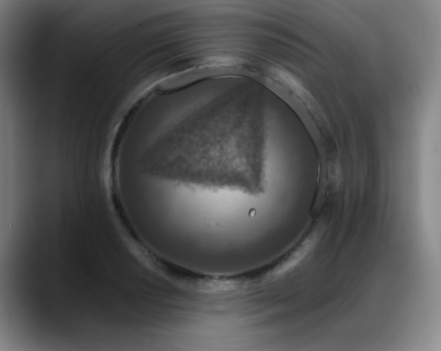 X0000089441034200706151410