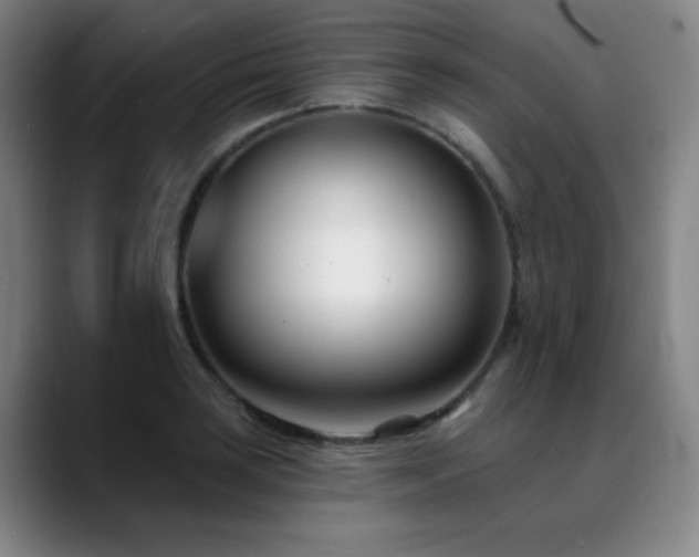 X0000089441035200706151410