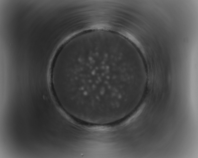 X0000089441037200706151410