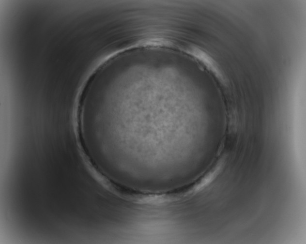 X0000089441038200706151410