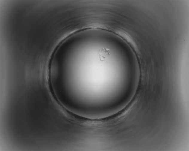 X0000089441040200706151410