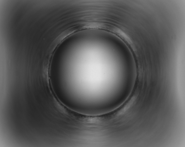 X0000089441041200706151410