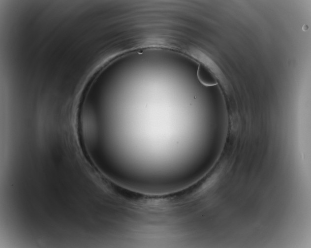 X0000089441043200706151410