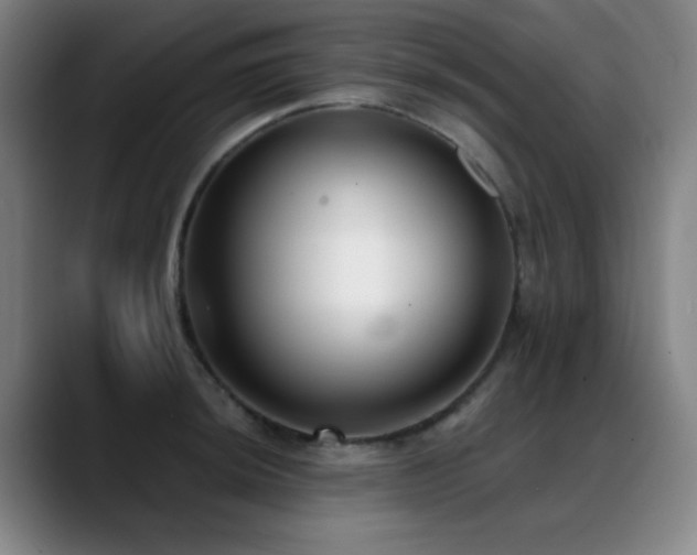 X0000089441044200706151410