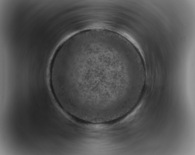 X0000089441045200706151410