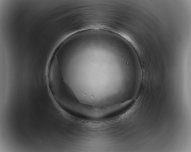 X0000089441046200706151410