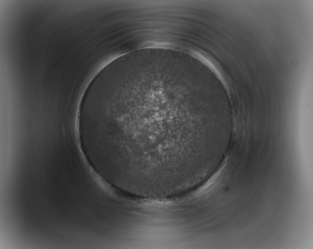X0000089441050200706151410