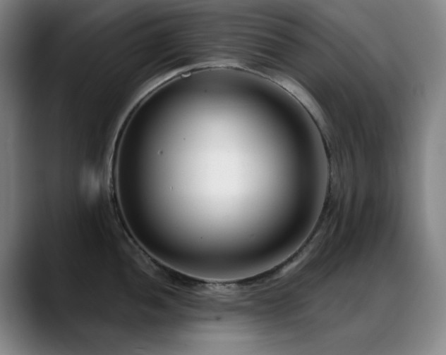 X0000089441052200706151410
