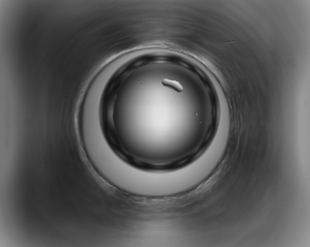 X0000089441054200706151410