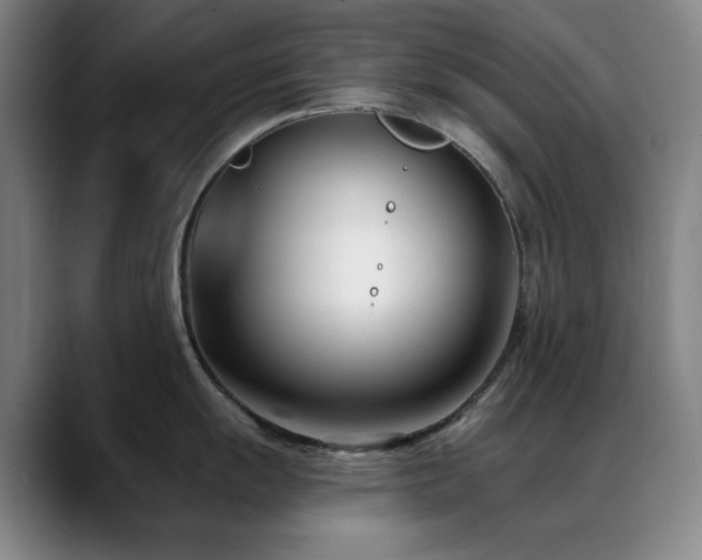 X0000089441055200706151410