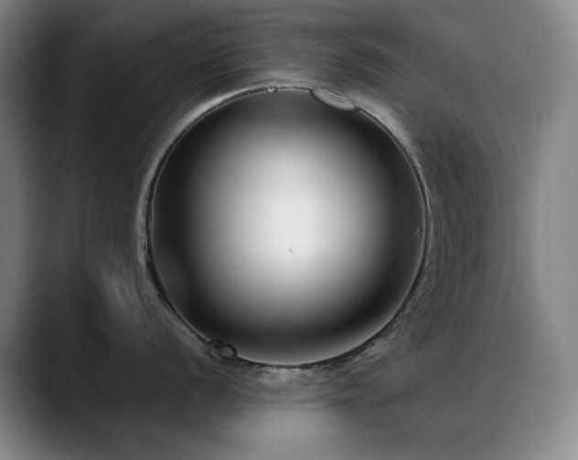X0000089441056200706151410
