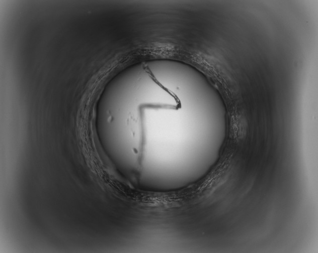 X0000089441057200706151409