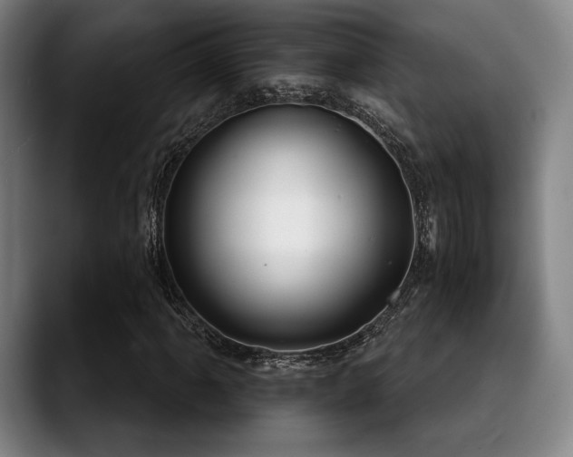 X0000089441061200706151409