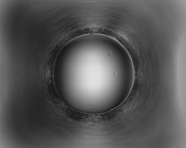 X0000089441062200706151409
