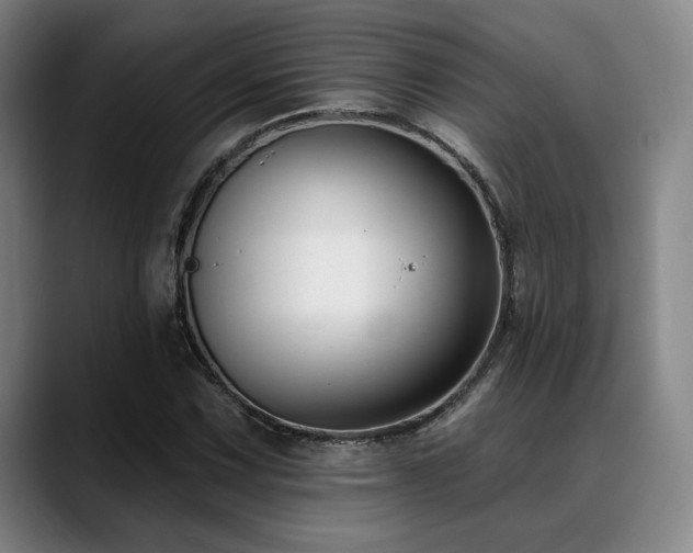 X0000089441067200706151409