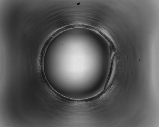 X0000089441068200706151409