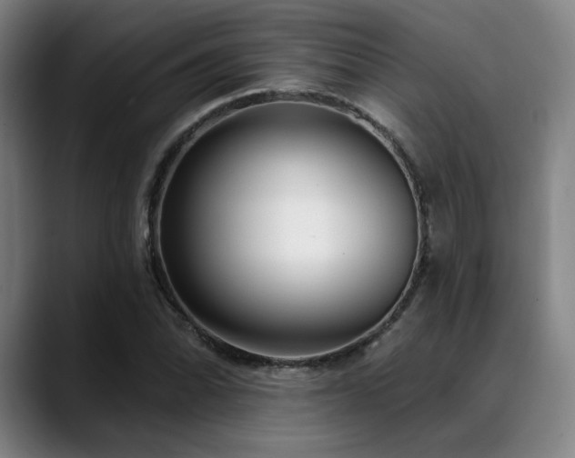 X0000089441070200706151409