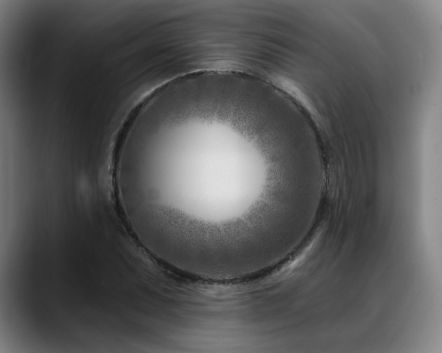 X0000089441071200706151409