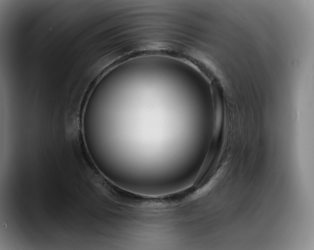 X0000089441073200706151409