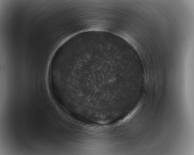 X0000089441077200706151409