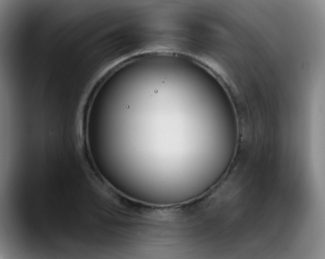 X0000089441078200706151409