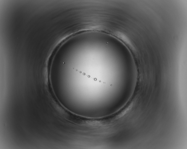 X0000089441079200706151409